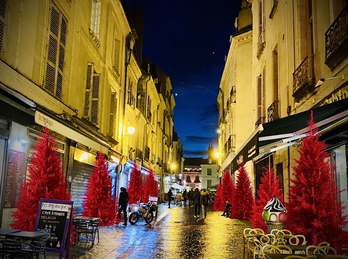 Forêt de sapins rouges